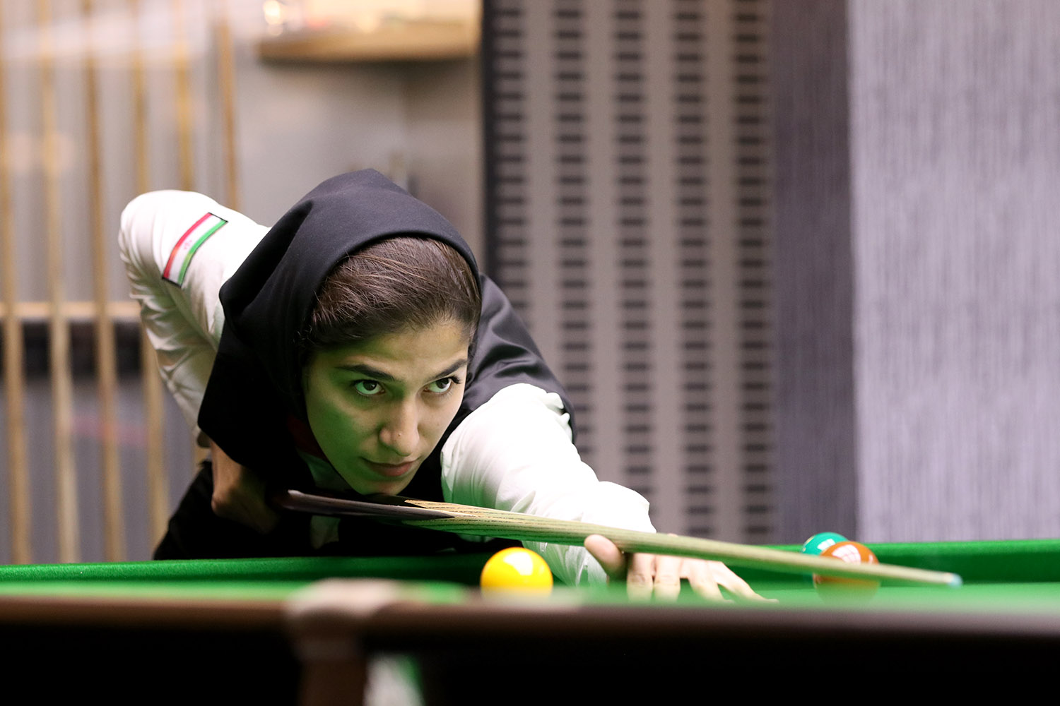 New Website for World Womens Snooker!